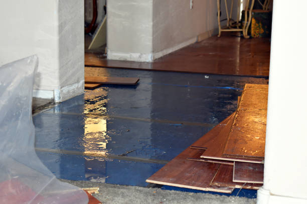 Professional Storm Water Damage Restoration technician working in Edinburgh, IN